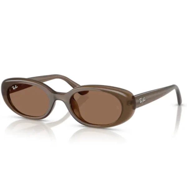 Γυναικεία Γυαλιά Ηλίου Ray Ban RB4441 677973