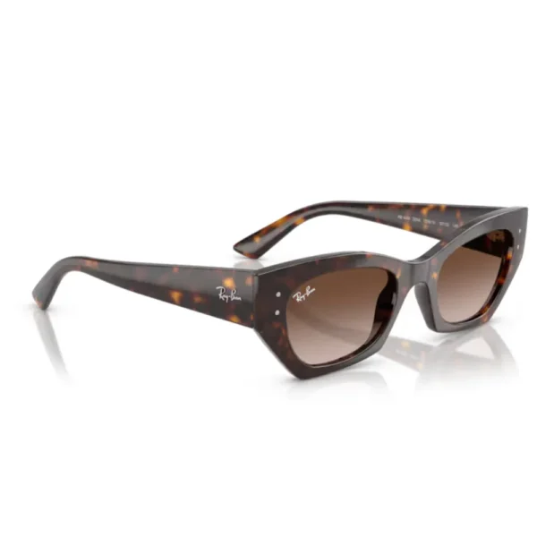 Γυναικεία Γυαλιά Ηλίου Ray Ban Zena RB4430 135913