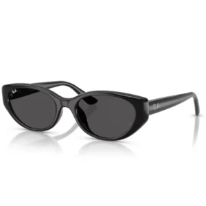 Γυναικεία Γυαλιά Ηλίου Ray Ban RB4457D 667787