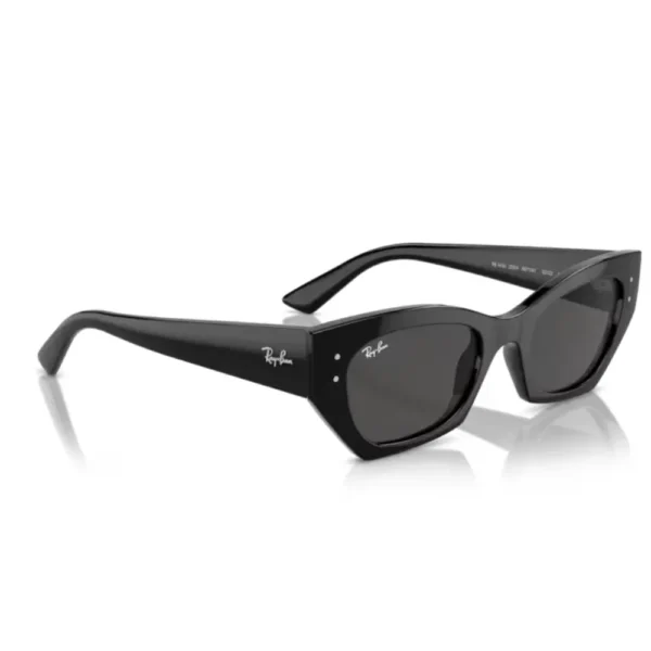 Γυναικεία Γυαλιά Ηλίου Ray Ban Zena RB4430 667787