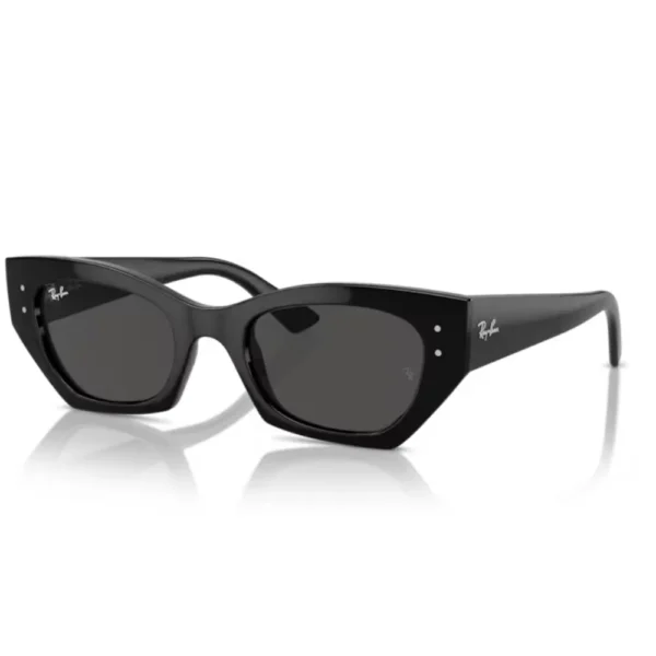 Γυναικεία Γυαλιά Ηλίου Ray Ban Zena RB4430 667787