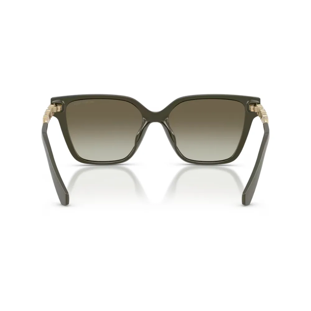 Γυναικεία Γυαλιά Ηλίου Michael Kors ΜΚ2263U 39023M