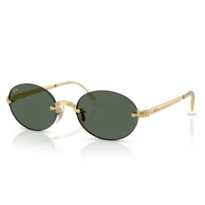 Γυναικεία Γυαλιά Ηλίου Ray Ban Griff RB3929 001-71